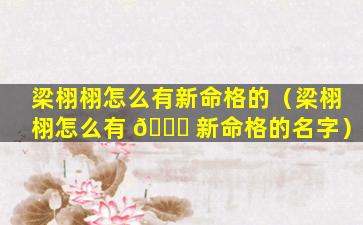 梁栩栩怎么有新命格的（梁栩栩怎么有 💐 新命格的名字）
